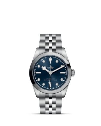 Tudor Black Bay 31