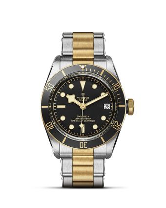 Tudor Black Bay S&G