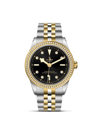 Tudor Black Bay 39 S&G